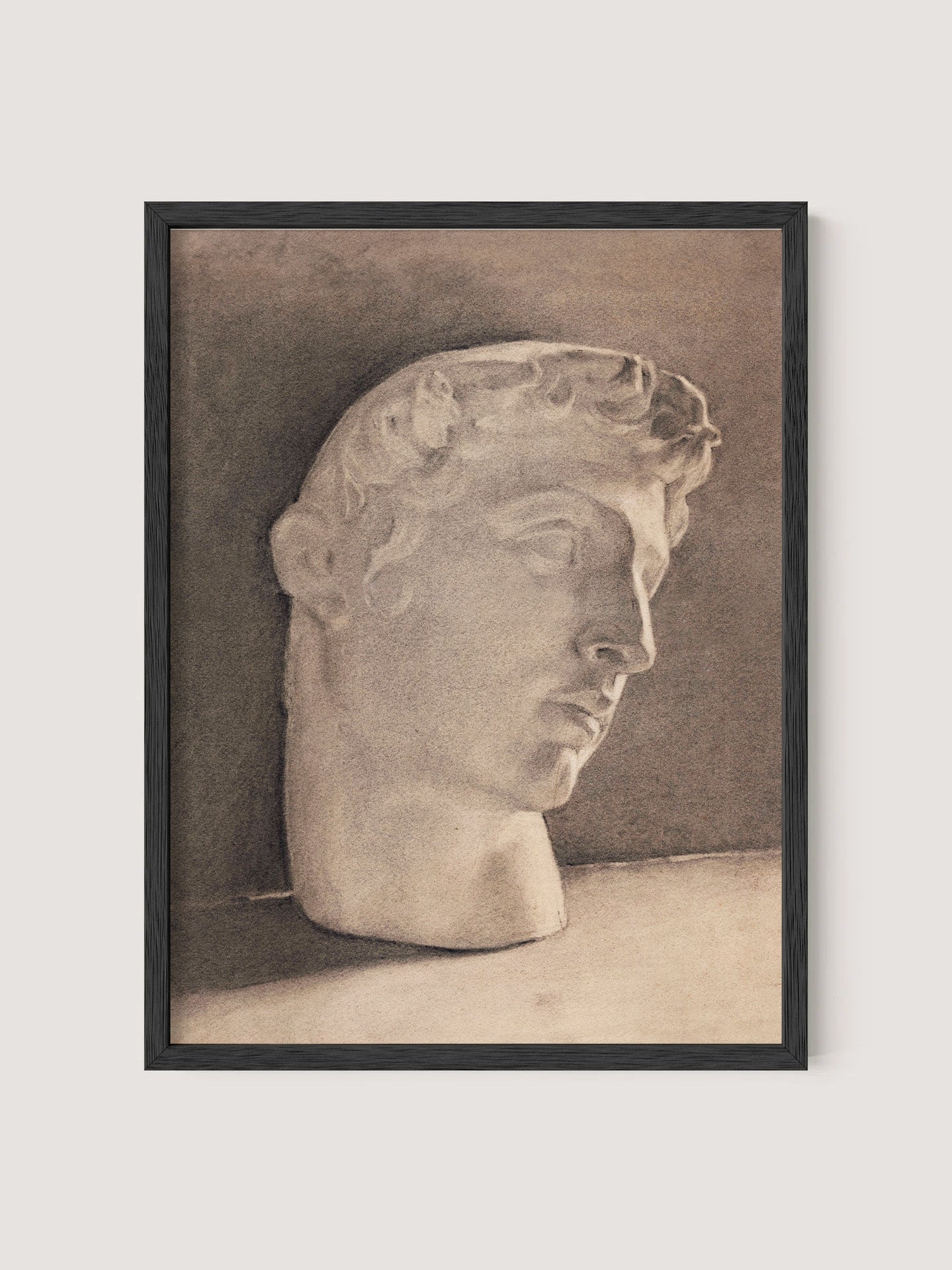 Study of a Plaster Head