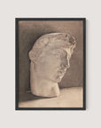 Study of a Plaster Head