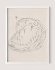 Sleeping Cat