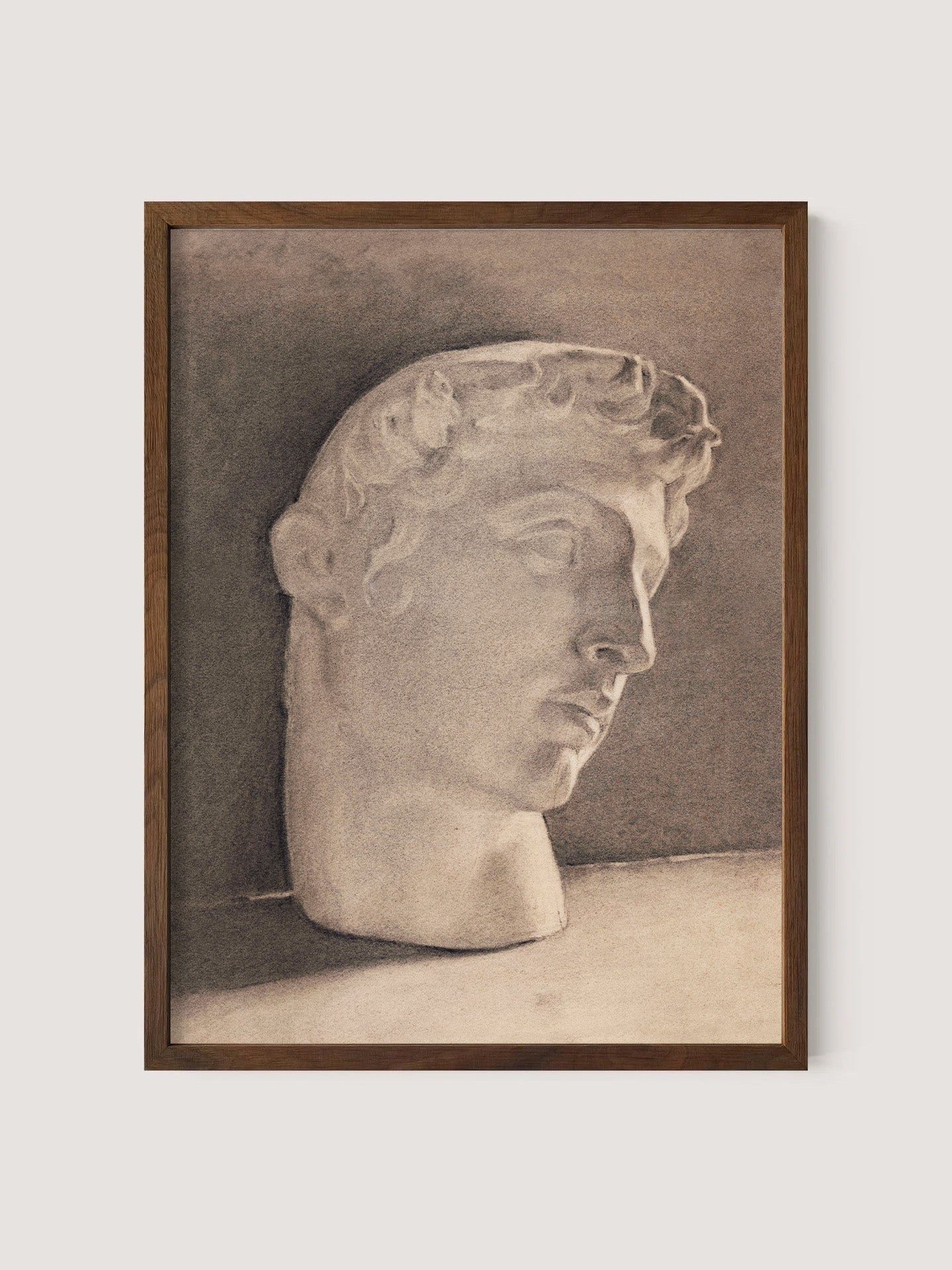 Study of a Plaster Head