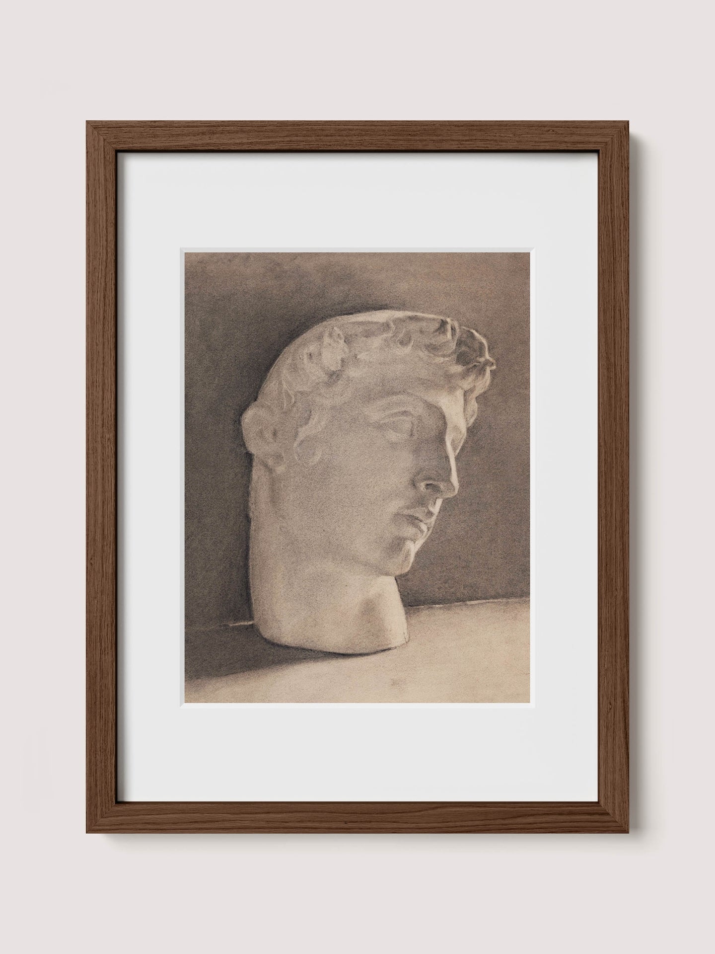Study of a Plaster Head
