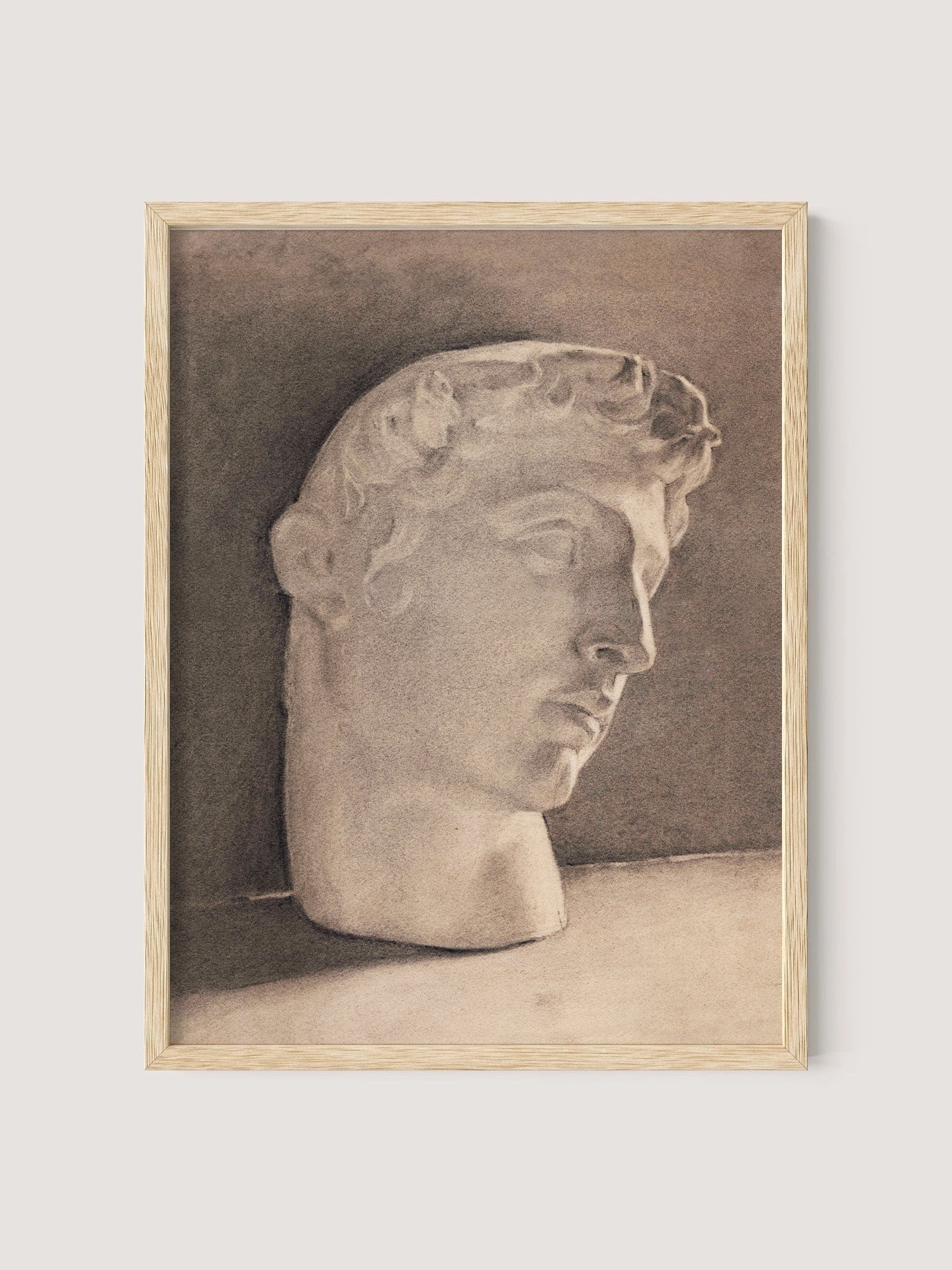 Study of a Plaster Head