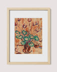 Cyclamen