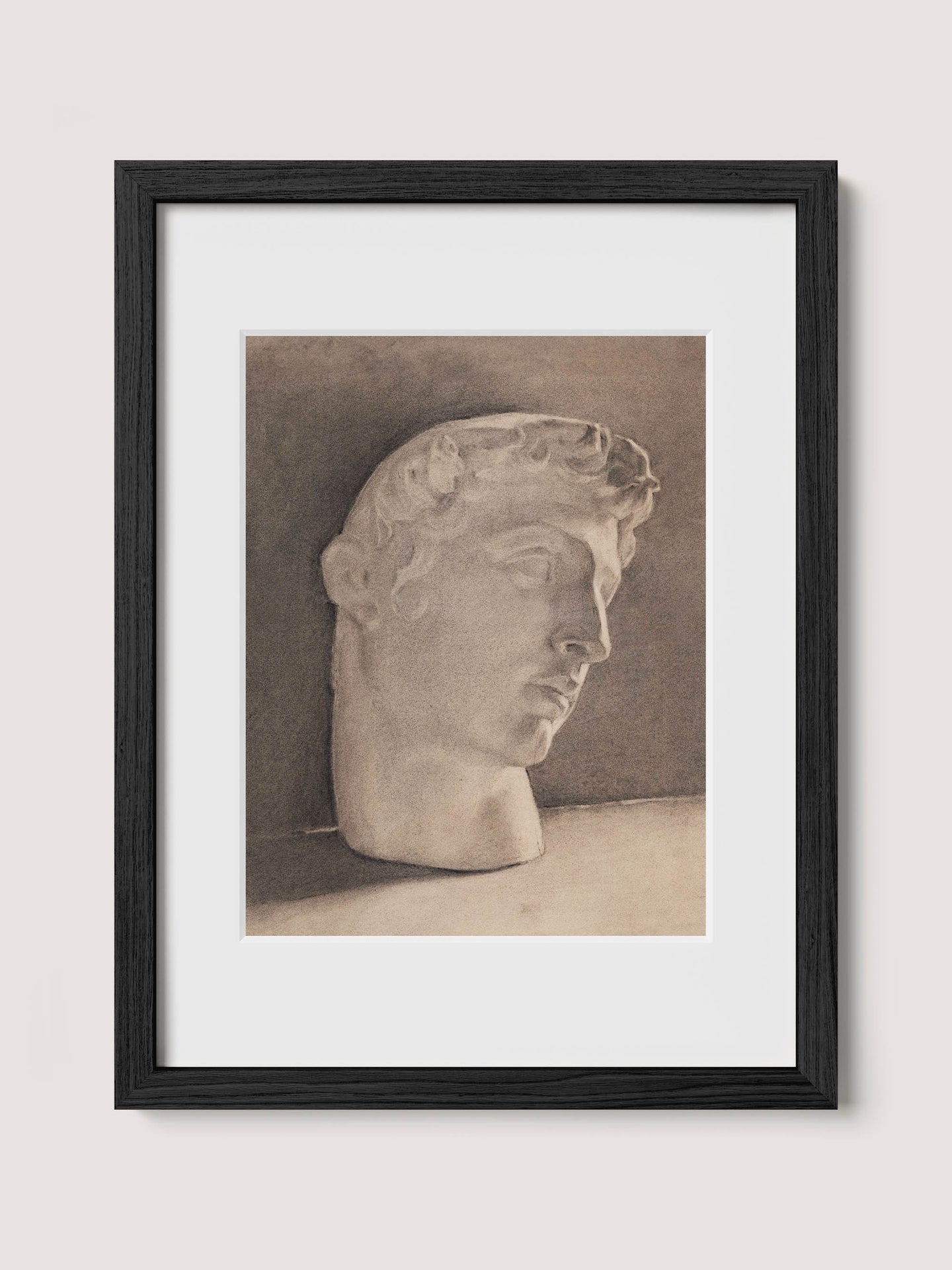 Study of a Plaster Head