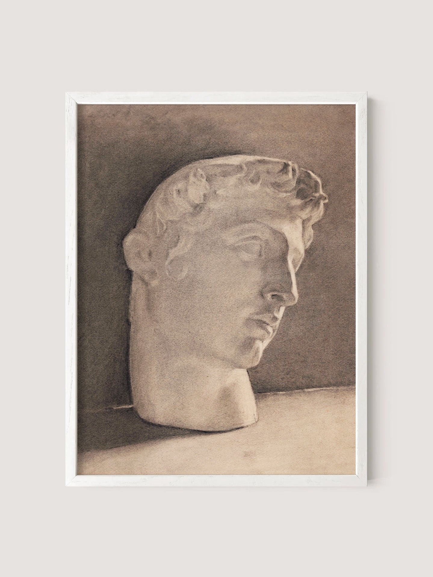 Study of a Plaster Head