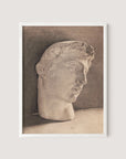 Study of a Plaster Head