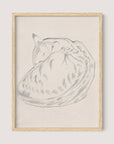 Sleeping Cat