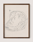 Sleeping Cat