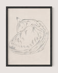 Sleeping Cat