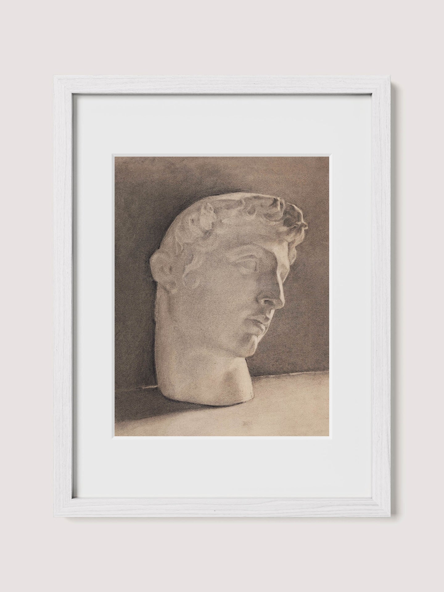 Study of a Plaster Head
