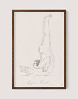 The "Egyptian Tumbler" framed artwork, in a Walnut Oak finish, depicts a man in Roman costume balanced upside down on a crocodile's back. The man performs a headstand with his legs extended vertically, while the crocodile lies horizontally, facing forward. The artwork features minimalist design with fine lines.