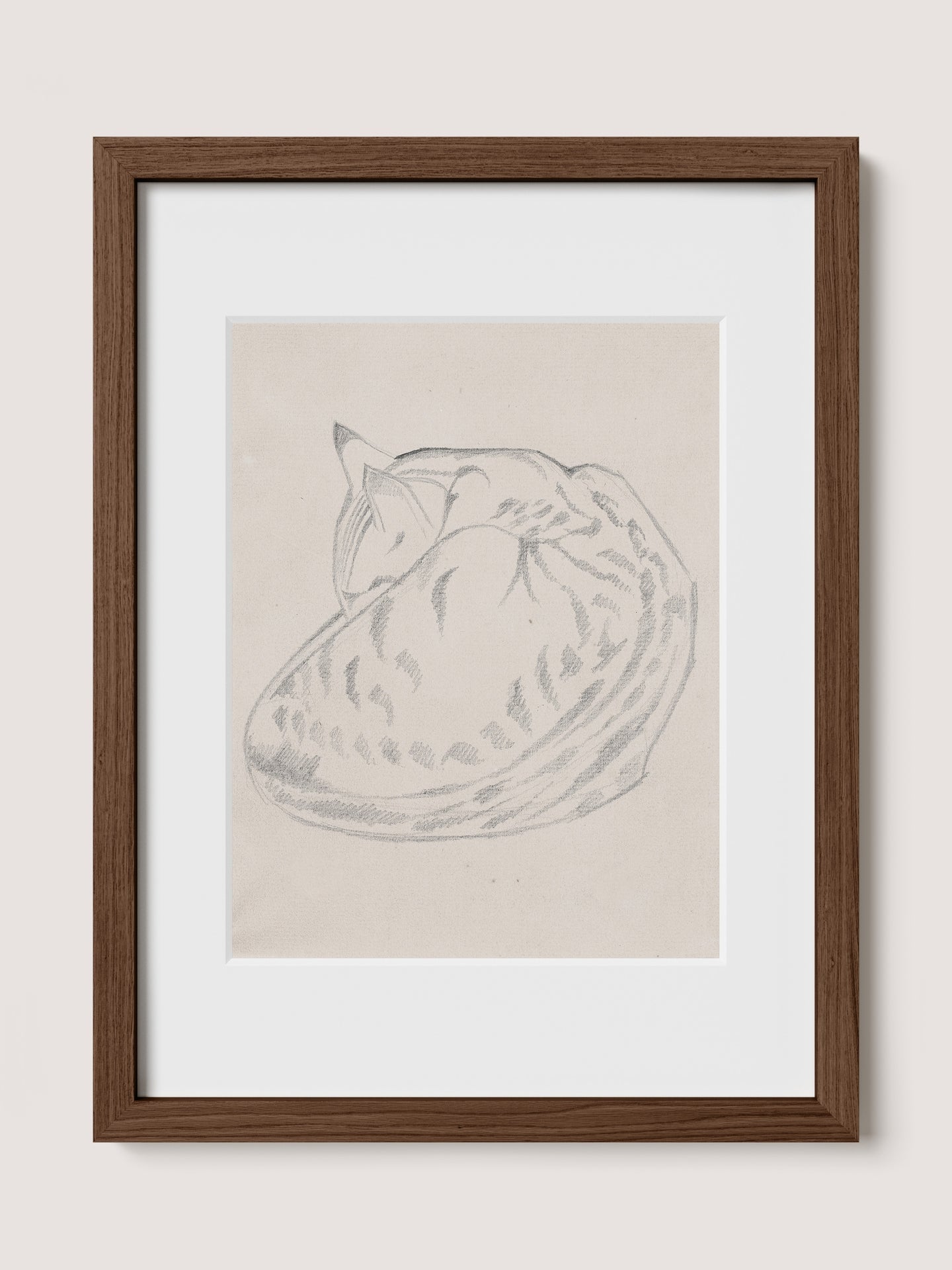 Sleeping Cat