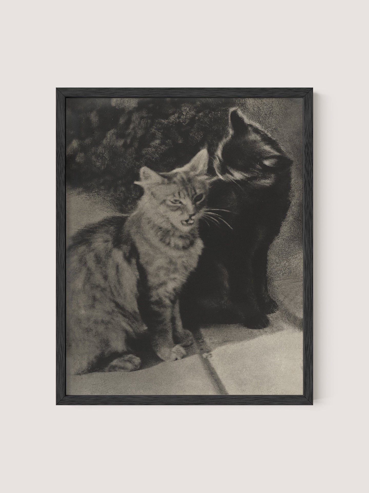 The Serenaders," a framed black and white print, captures a touching moment between feline friends. The photograph shows two cats sitting closely together—one with a striped pattern on the left and a solid black cat grooming its companion on the right—beautifully framed in Black Oak.