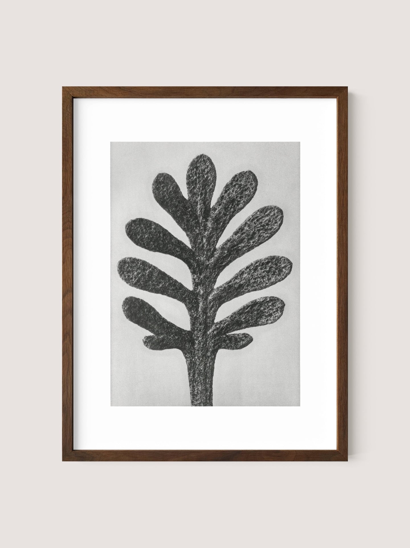 The framed Yarrow Leaf artwork features an abstract black and white depiction of a tree-like figure with multiple rounded branches extending symmetrically from a central trunk, evoking botanical beauty. The elegant walnut oak frame contrasts beautifully with the plain, light-colored background.