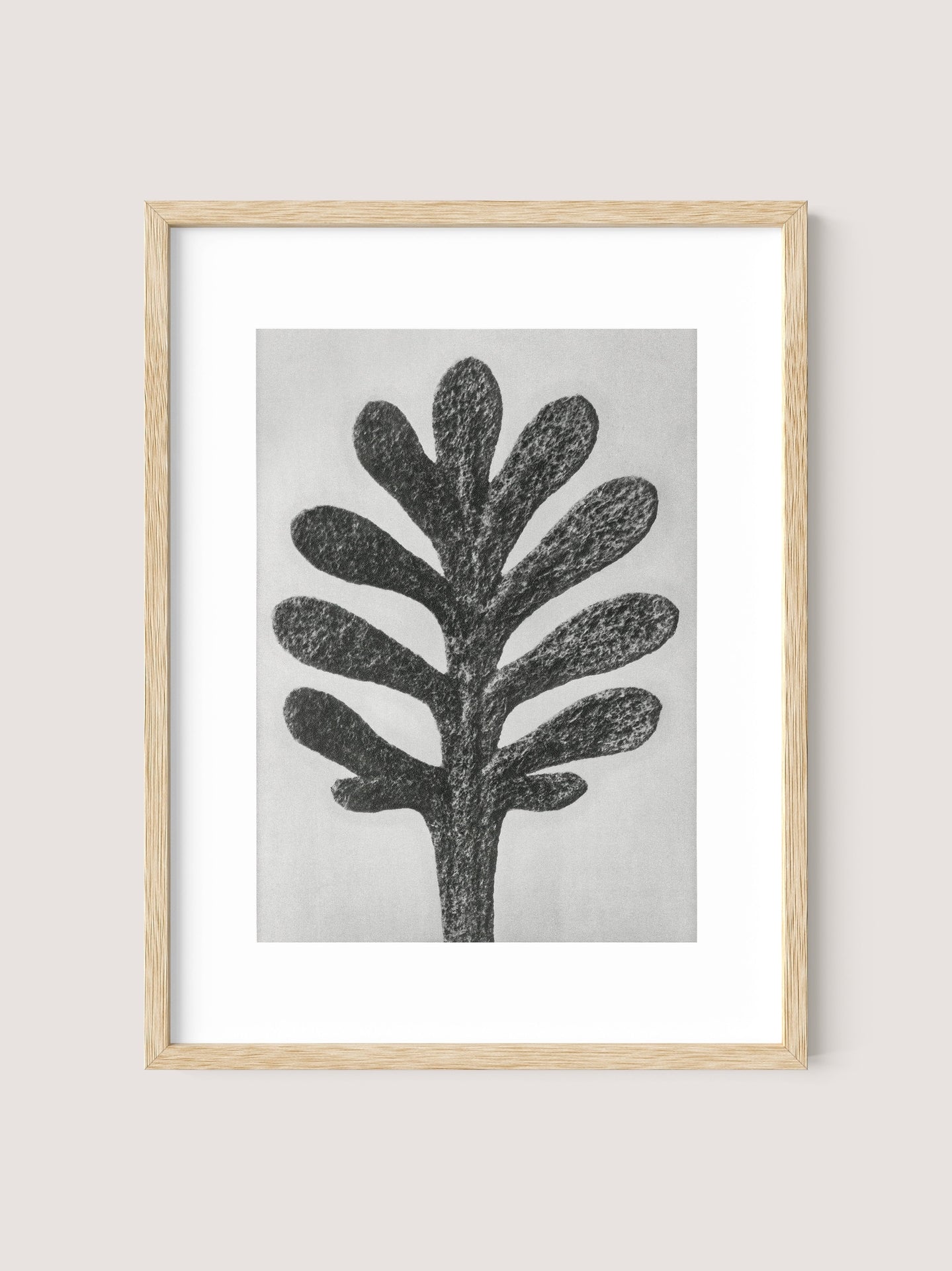 The "Yarrow Leaf" is a framed painterly black and white print that depicts a tree with multiple stylized, rounded branches. The natural oak wooden frame contrasts with the minimalistic artwork, highlighting its botanical beauty against the light beige wall.