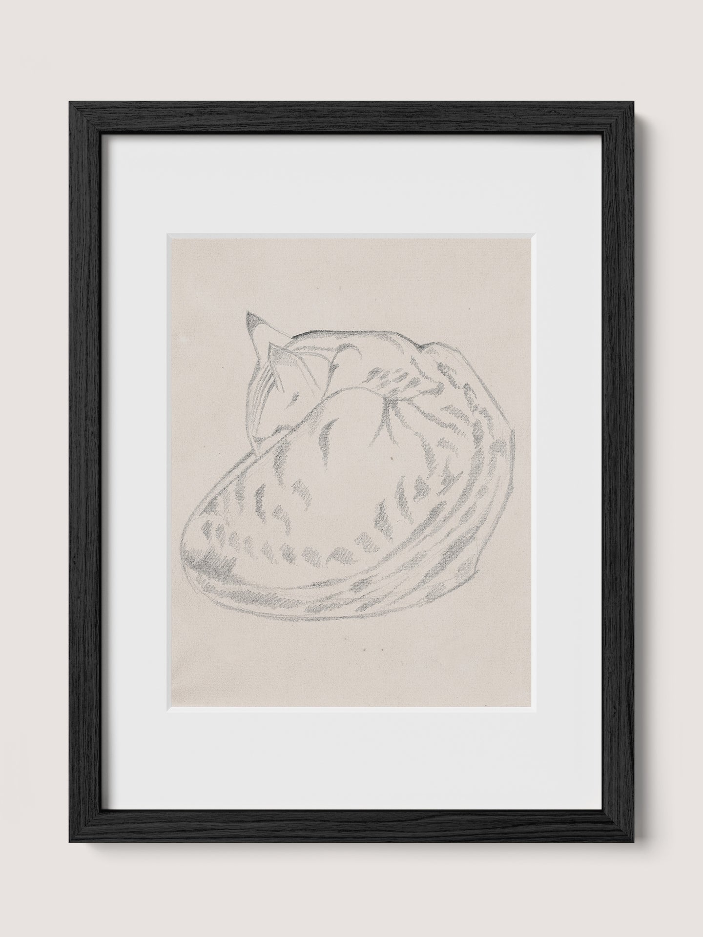 Sleeping Cat