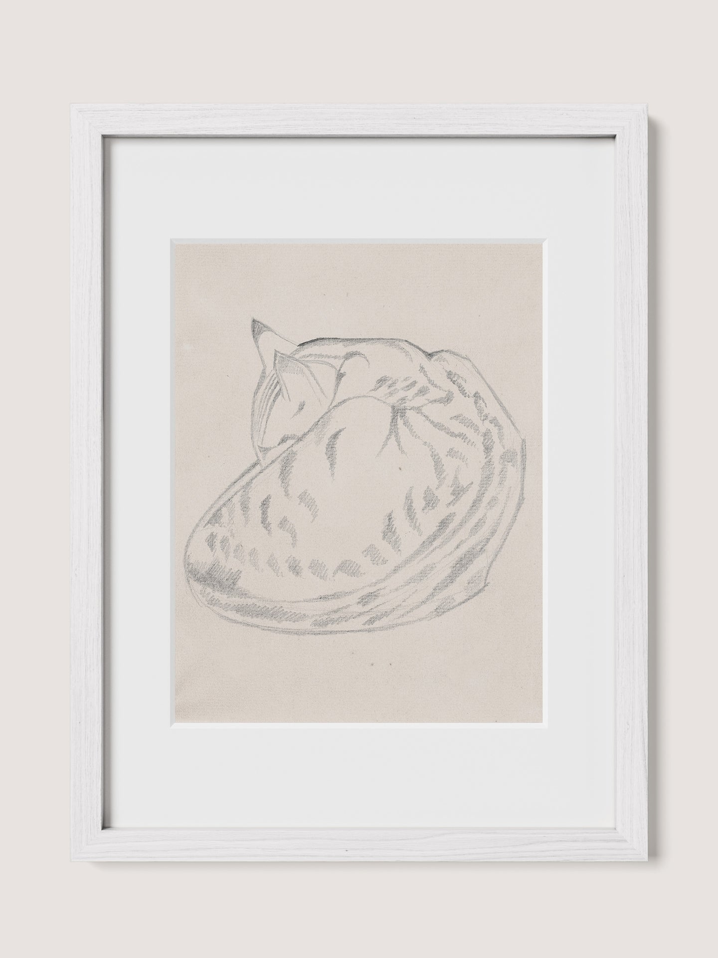 Sleeping Cat