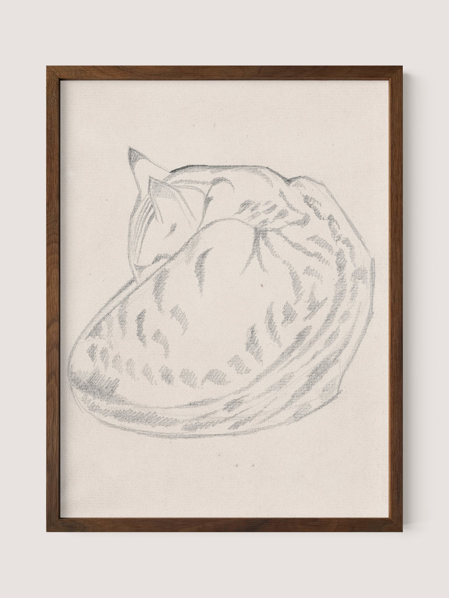 Sleeping Cat