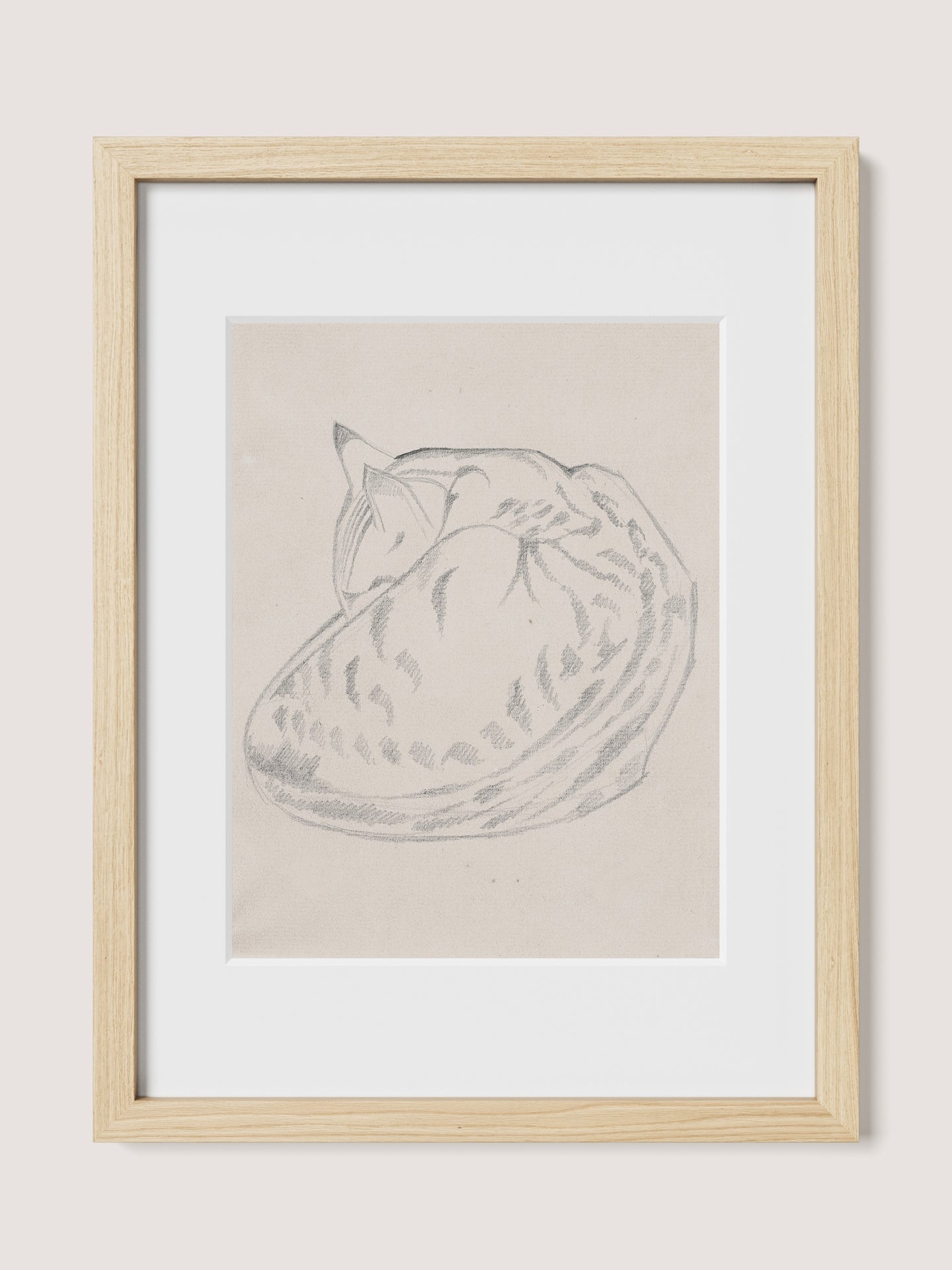 Sleeping Cat
