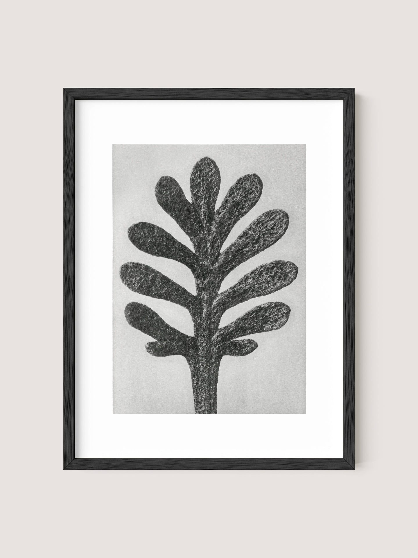 The "Yarrow Leaf" artwork features a simplistic and abstract depiction of a tree with thick, rounded, black branches extending upward. The light gray background enhances the modern minimalist style, while the sleek Black Oak frame adds to its botanical beauty.